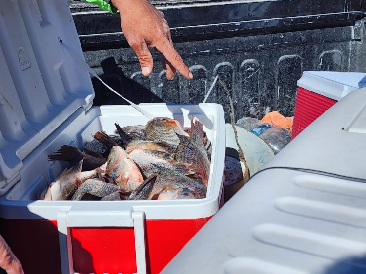 ¡Ante bajas ventas!; productores de la zona acuden a las rancherías a vender pescado