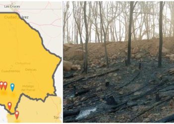 Registra incendios forestales Guachochi y Batopilas