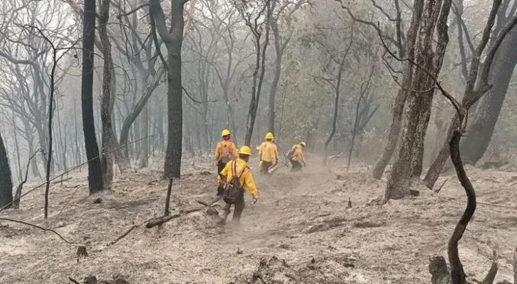 Persiste incendio forestal en Balleza; no ha podido ser controlado