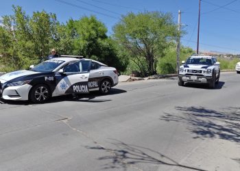 Motociclista resulta lesionado tras choque contra poste en Los Carrizos; la moto se partió en dos