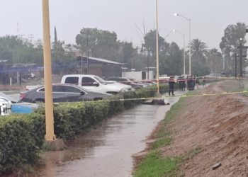 Bajan de una camioneta y ejecutan a un hombre en el parque de la Estación