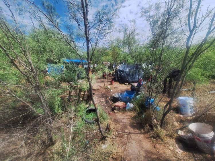 Familias desplazadas de Guadalupe y Calvo se ven obligadas a vivir en casas de campaña